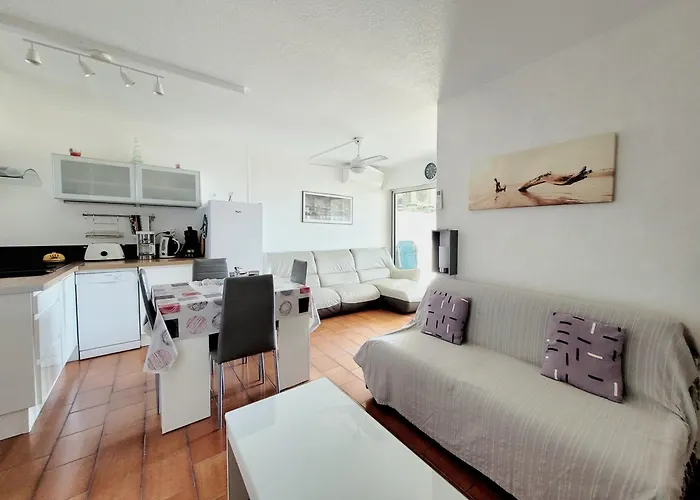 - 4 Personnes - T2 - Parking Prive - Climatisation - Fr-1-794-102 Apartment Canet-en-Roussillon